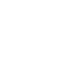 SECURITY Icon